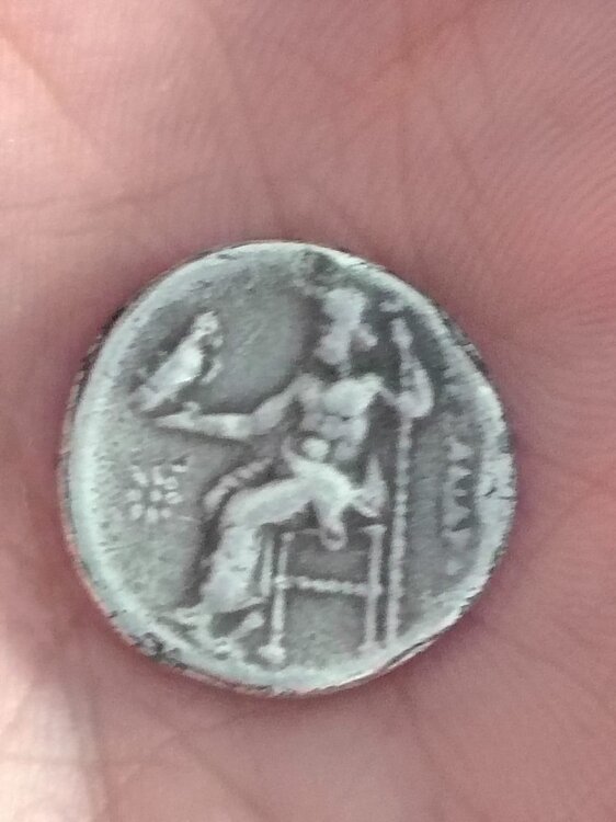 Immagine WhatsApp 2025-03-19 ore 16.51.53_29b63bbb.jpg