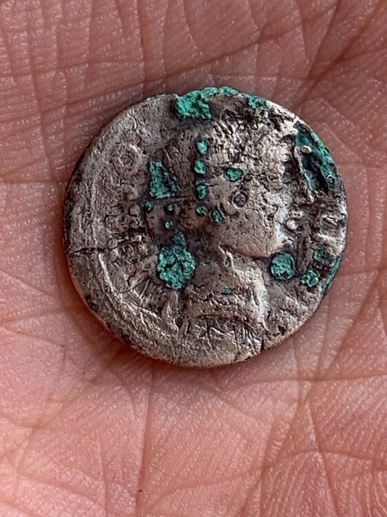 Immagine WhatsApp 2025-03-31 ore 19.55.40_e8995143.jpg