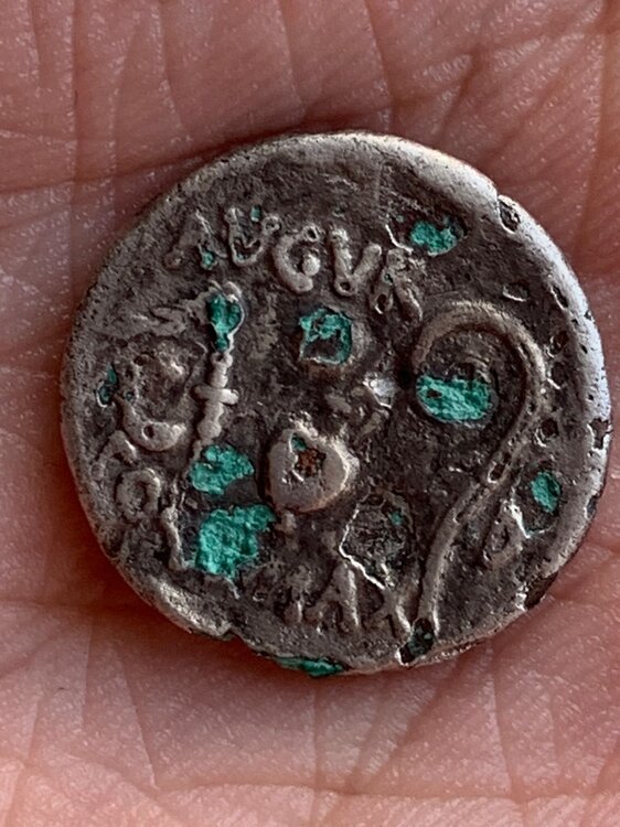 Immagine WhatsApp 2025-03-31 ore 19.55.40_f3d80cf4.jpg