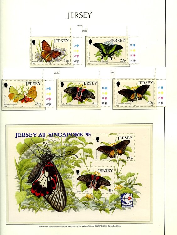 Jersi farfalle024.jpg