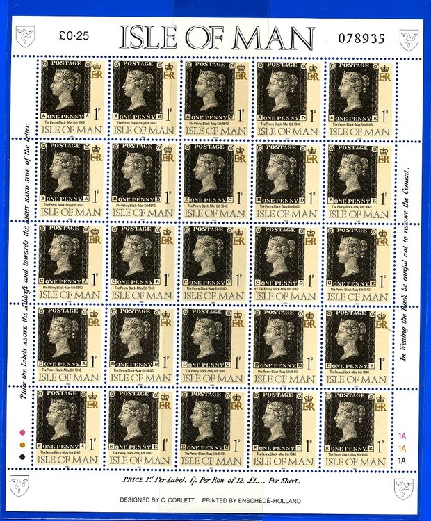 Jersi foglitto regina028.jpg