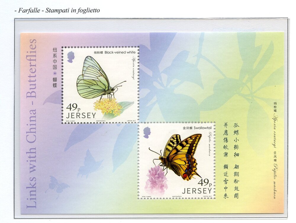 Jersy farfalle005.jpg