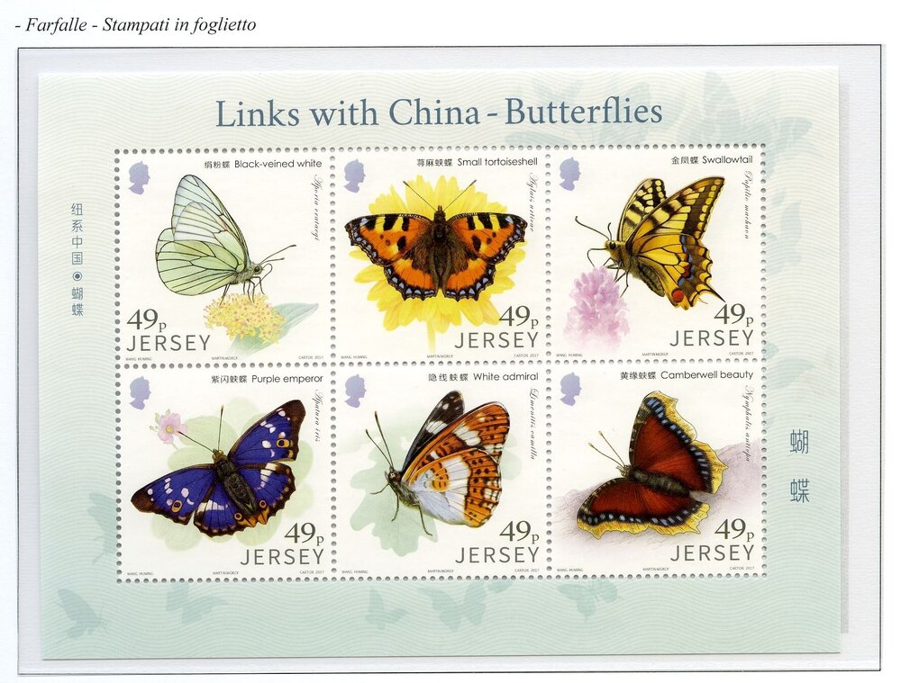 Jersy farfalle006.jpg