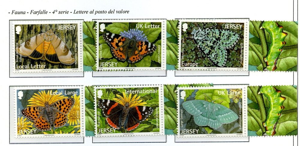 Jiersy farfalle001.jpg