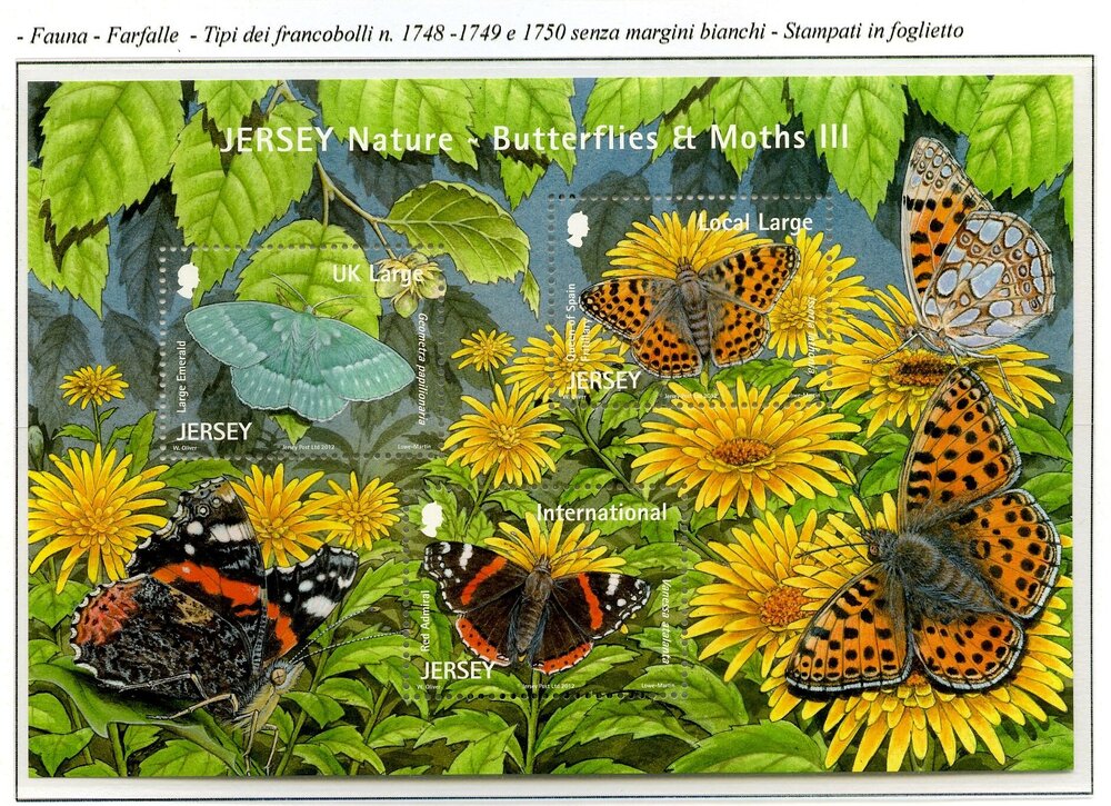 Jiersy farfalle002.jpg