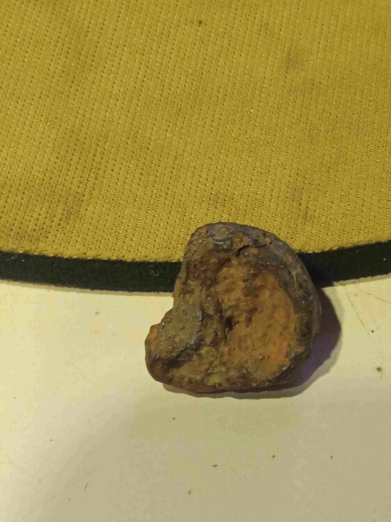 Possibile antico sigillo da anello0.jpg