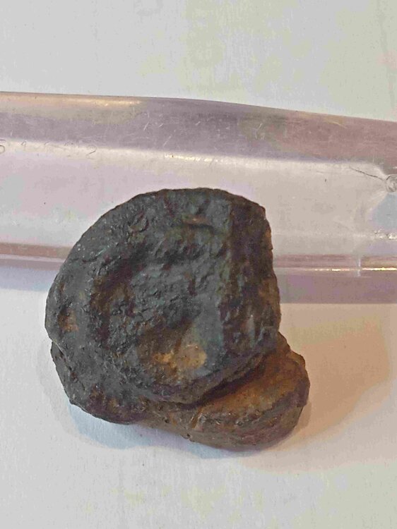 Possibile antico sigillo da anello11.jpg