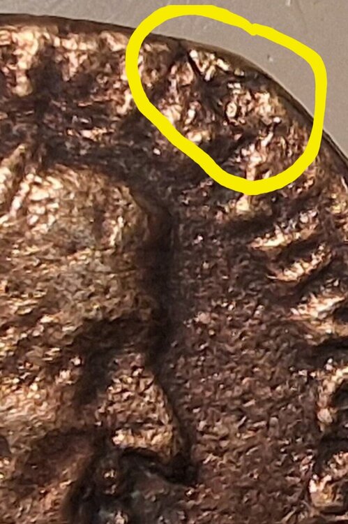 Screenshot_20250302_070526_Samsung Internet.jpg