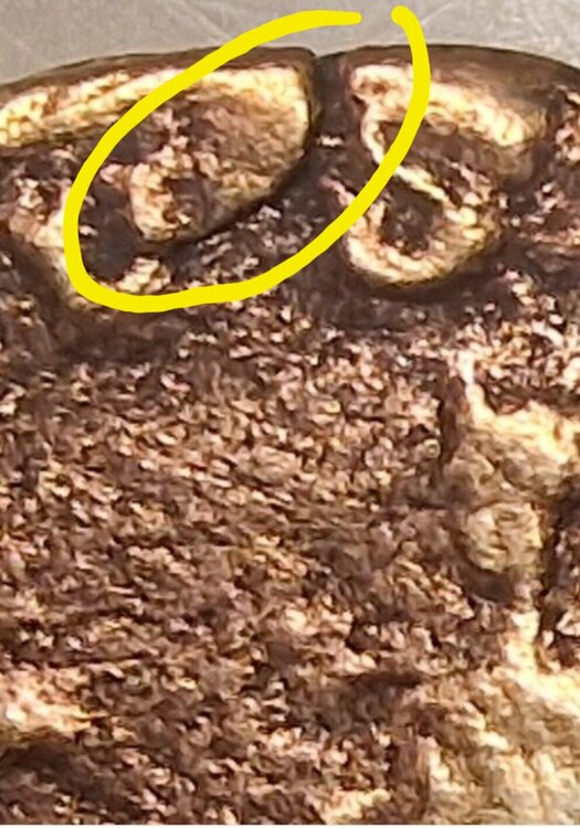 Screenshot_20250302_070557_Samsung Internet.jpg