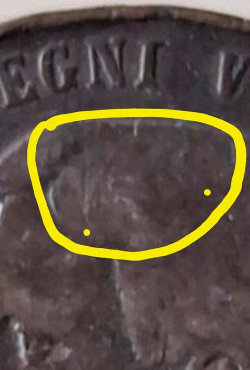 Screenshot_20250302_124709_Samsung Internet.jpg