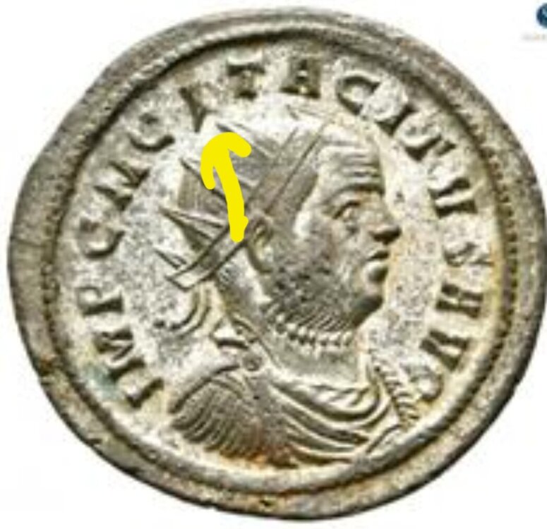 Screenshot_20250308_110411_Samsung Internet.jpg