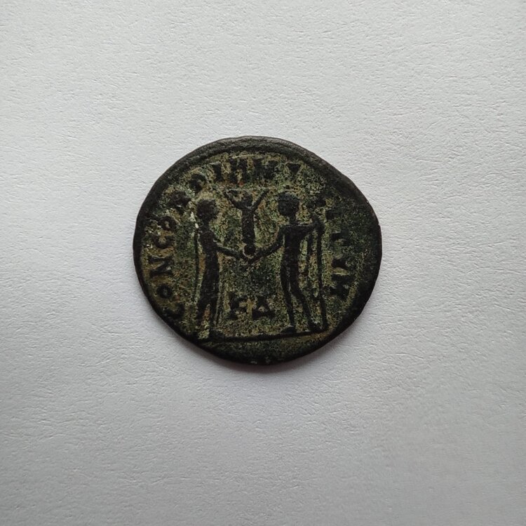 WhatsApp Image 2025-03-23 at 15.34.17 (1).jpeg