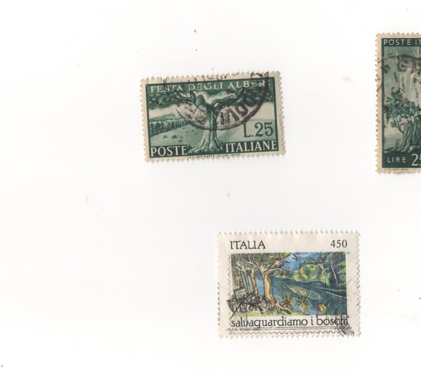 alberi-2.jpg