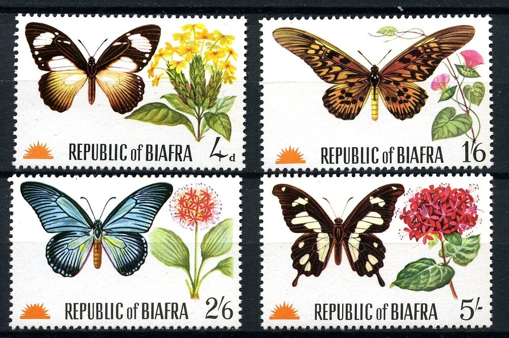 farfalle biafra097.jpg