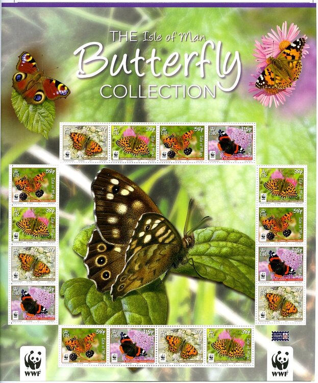 man farfalle 002.jpg