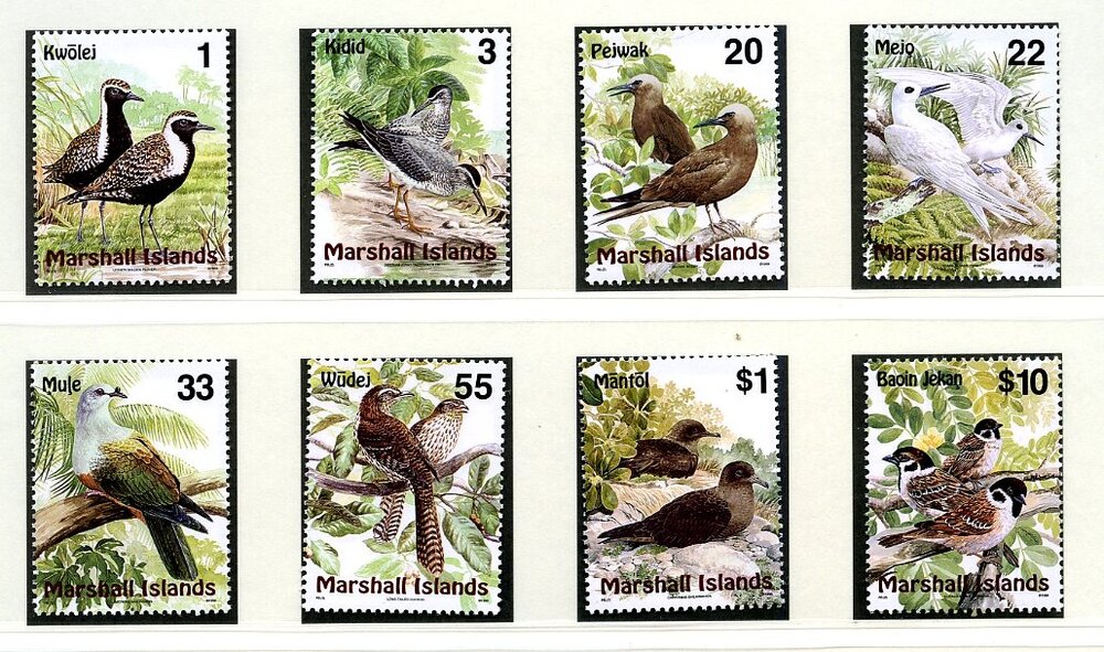 uccelli Marshall 001.jpg