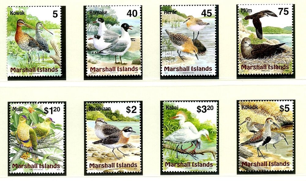 uccelli Marshall 002.jpg