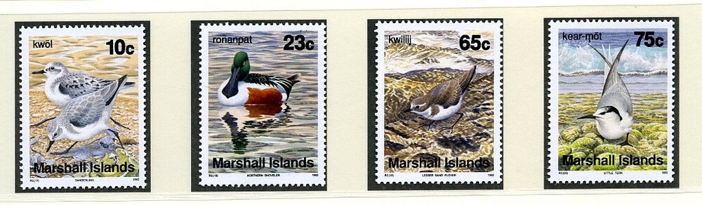 uccelli marshall coperta libretto009.jpg