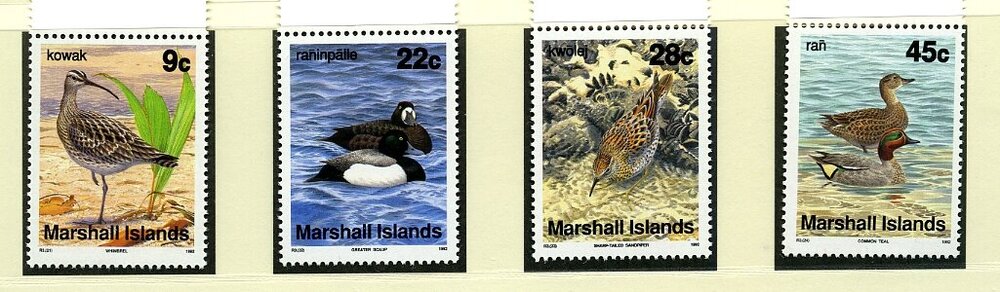 uccelli marshall coperta libretto010.jpg