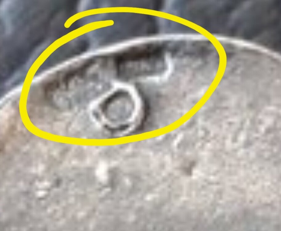 Screenshot_20250418_205011_Samsung Internet.jpg