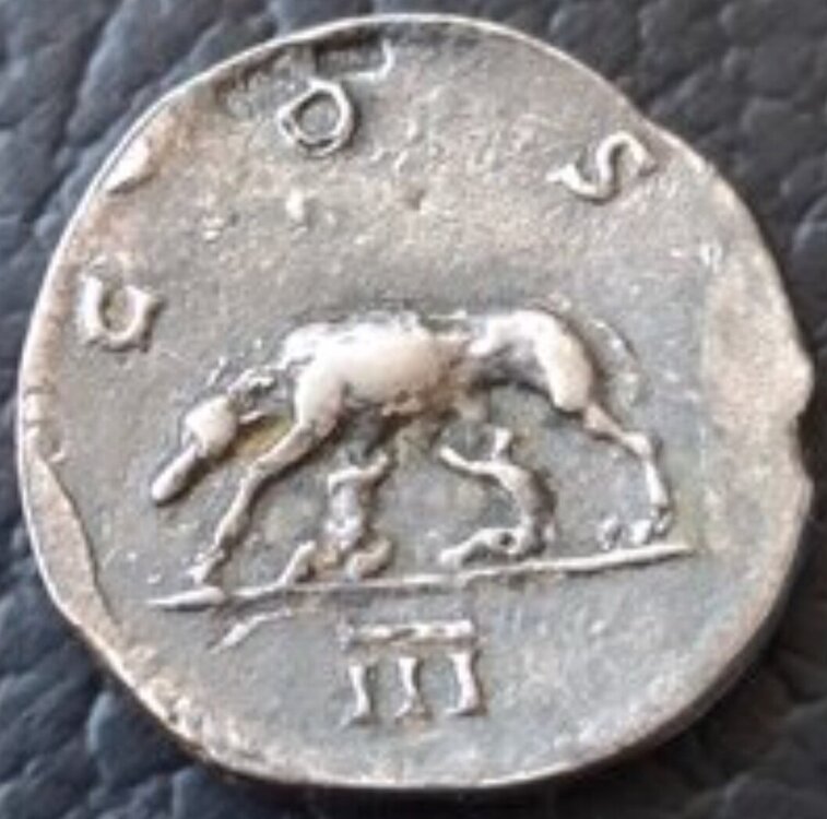 Screenshot_20250419_091147_Samsung Internet.jpg