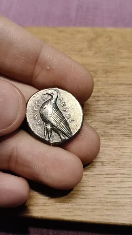 VID_20250203_010249_504_exported_0 (1).jpg