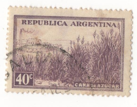 argentina1.jpg.7a46a53efae8873a83fe4babfbfa0808.jpg.916ce25cd39eb4322bce9f13f87236c1.jpg