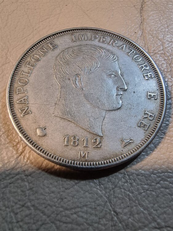 20250520_115030 (990 x 1320).jpg