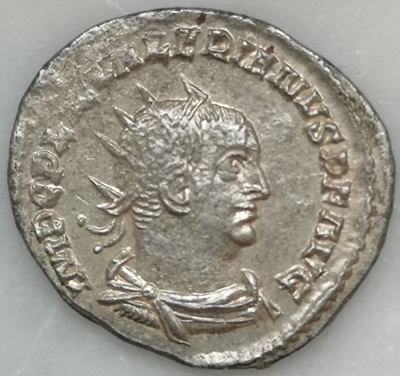 Fronte sfondo vero.jpg