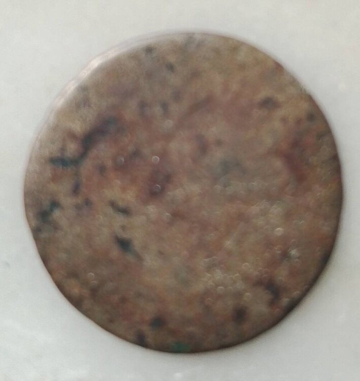 IMG_20250517_102444 (1).jpg