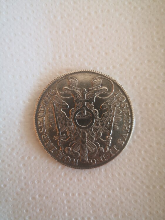 Immagine WhatsApp 2025-05-02 ore 09.07.06_150014b6.jpg