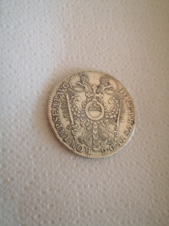 Immagine WhatsApp 2025-05-02 ore 09.07.06_69119655.jpg