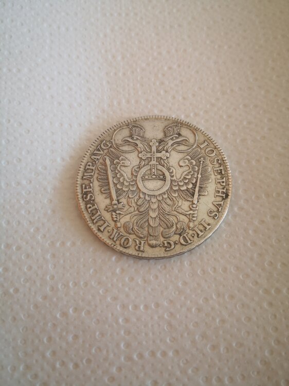 Immagine WhatsApp 2025-05-02 ore 09.07.08_bb0eea8e.jpg