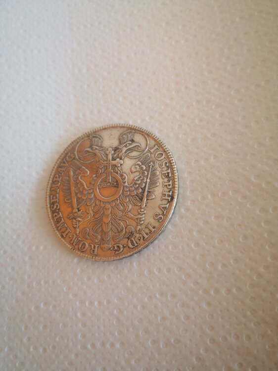 Immagine WhatsApp 2025-05-02 ore 09.07.07_6a223d8a.jpg