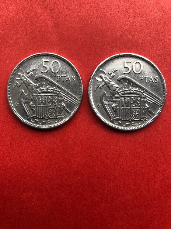 Immagine WhatsApp 2025-05-27 ore 11.47.20_9d74894e.jpg