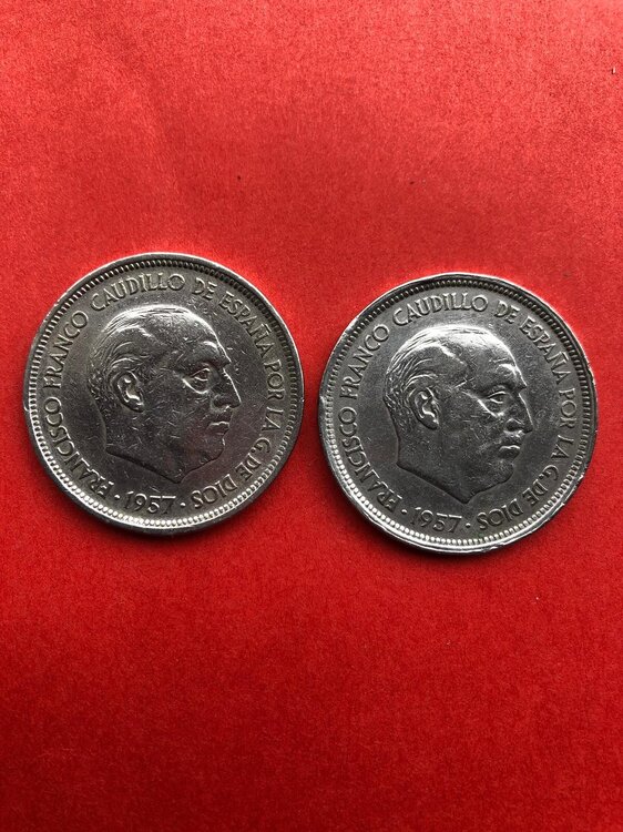 Immagine WhatsApp 2025-05-27 ore 11.47.20_d501fe70.jpg