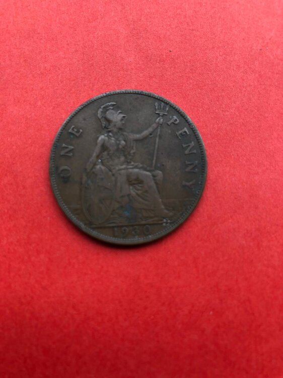 Immagine WhatsApp 2025-05-27 ore 11.51.23_37a3f074.jpg