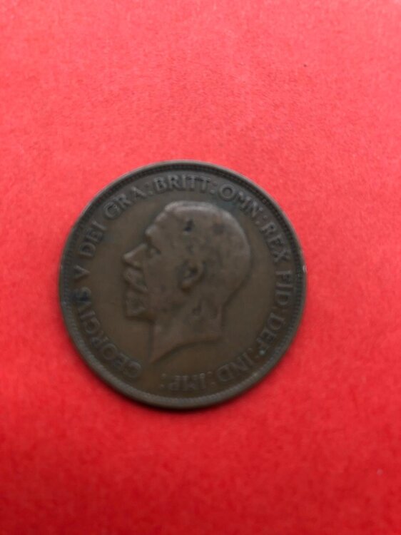 Immagine WhatsApp 2025-05-27 ore 11.51.23_4e6a861e.jpg