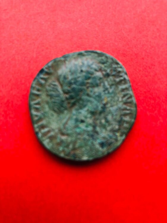 Immagine WhatsApp 2025-05-27 ore 13.24.38_c83b5779.jpg