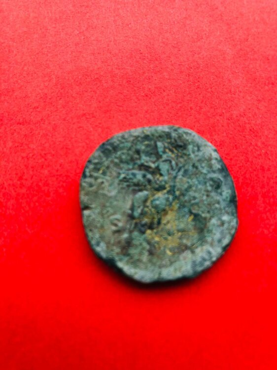 Immagine WhatsApp 2025-05-27 ore 13.24.39_fa25c792.jpg