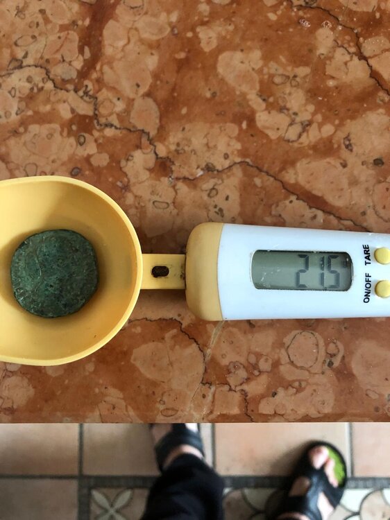 Immagine WhatsApp 2025-05-27 ore 13.44.56_a7d44bf6.jpg