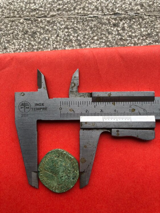 Immagine WhatsApp 2025-05-27 ore 13.49.24_57072c5f.jpg