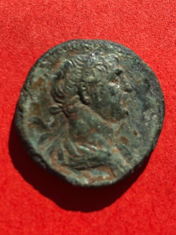 Immagine WhatsApp 2025-05-29 ore 08.17.16_0dabf8b4.jpg