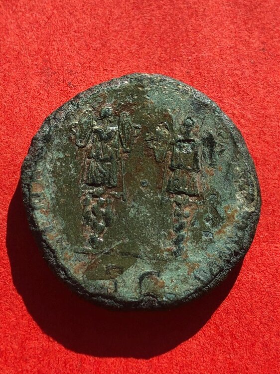 Immagine WhatsApp 2025-05-29 ore 08.17.16_7b4af768.jpg