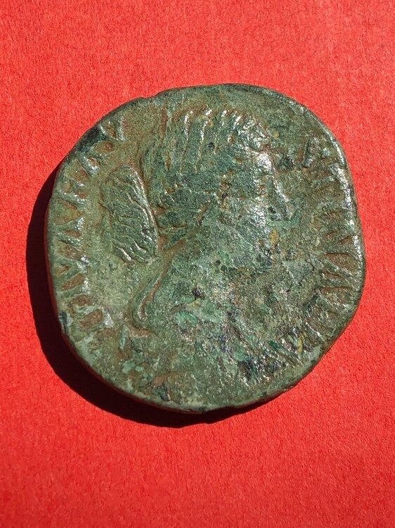 Immagine WhatsApp 2025-05-29 ore 11.02.44_f3476591.jpg