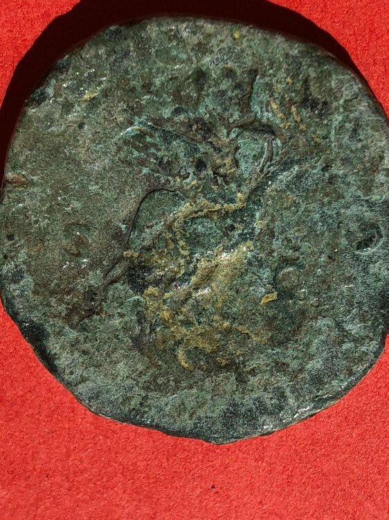 Immagine WhatsApp 2025-05-29 ore 11.05.03_8c4839a1.jpg