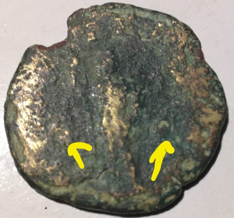 Screenshot_20250525_125612_Samsung Internet.jpg