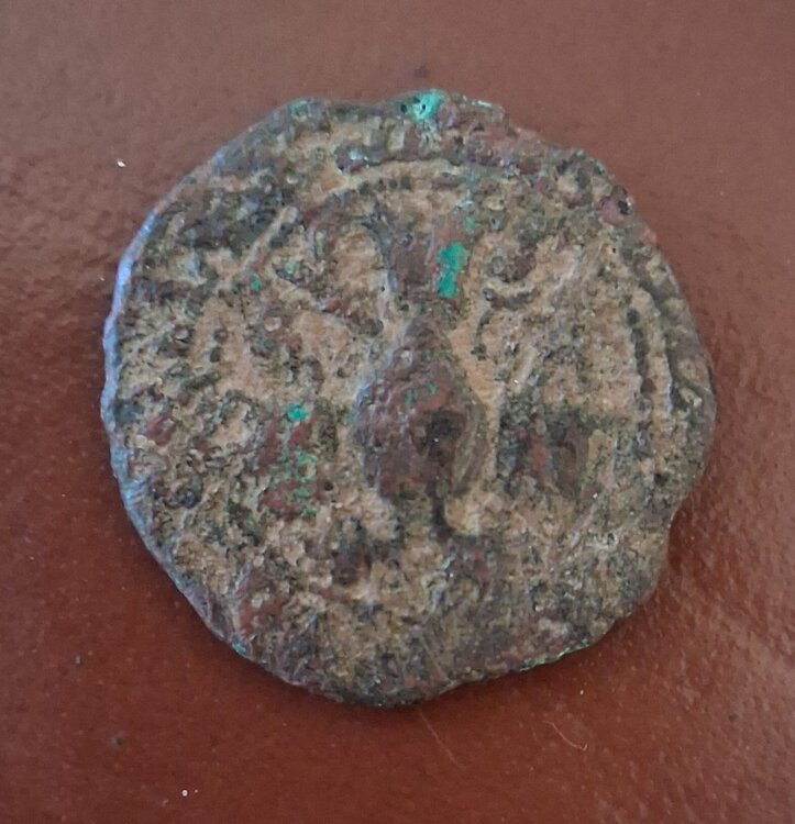 WhatsApp Image 2025-05-02 at 19.39.28 (1).jpeg