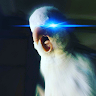 Solo_Davide