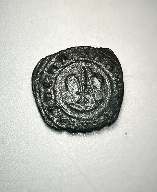 DenaroCarlo  I D'angiò-min.jpg